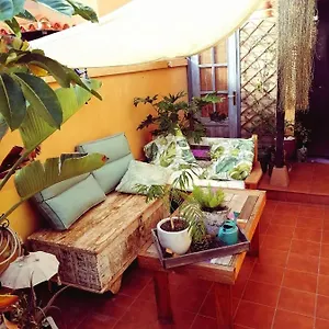 Vaiana , Las Rosas (Arona, Tenerife) Espagne
